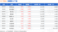 NFT板块5月13日跌065%ST恒久领跌主力资金净流出1
