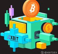美国贫富分化加剧BNB挖矿如何成为XBIT破局密钥?