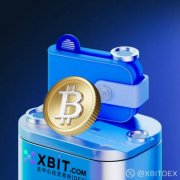 Froneri融资46亿启示:XBIT去中心化平台如何重塑投