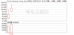 稳定币第一股大涨247% 机构抢筹Circle IPO